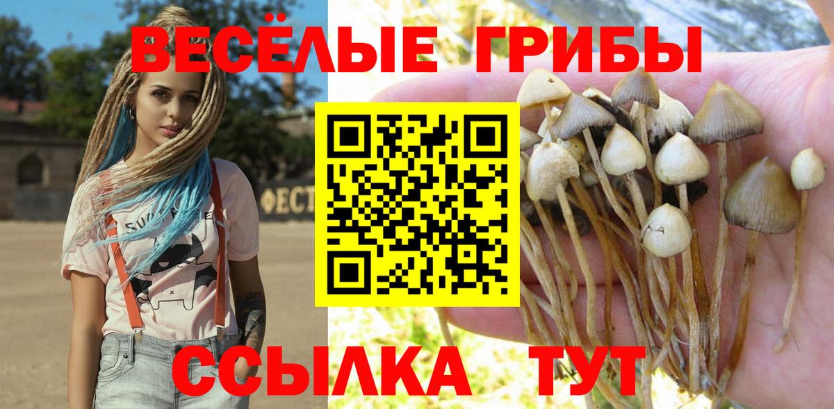 Галлюциногенные грибы GOLDEN TEACHER  где продают наркотики  Вход с VPN  Лангепас  Псилоцибиновые грибы Cubensis 